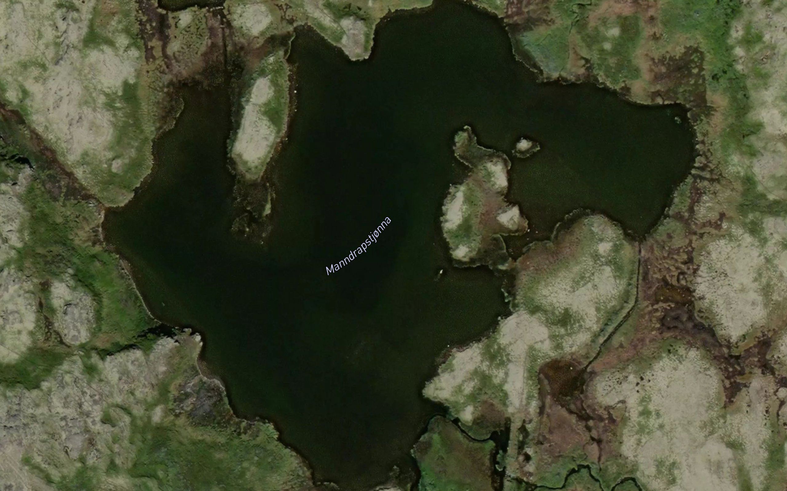 Manndrapstjonna