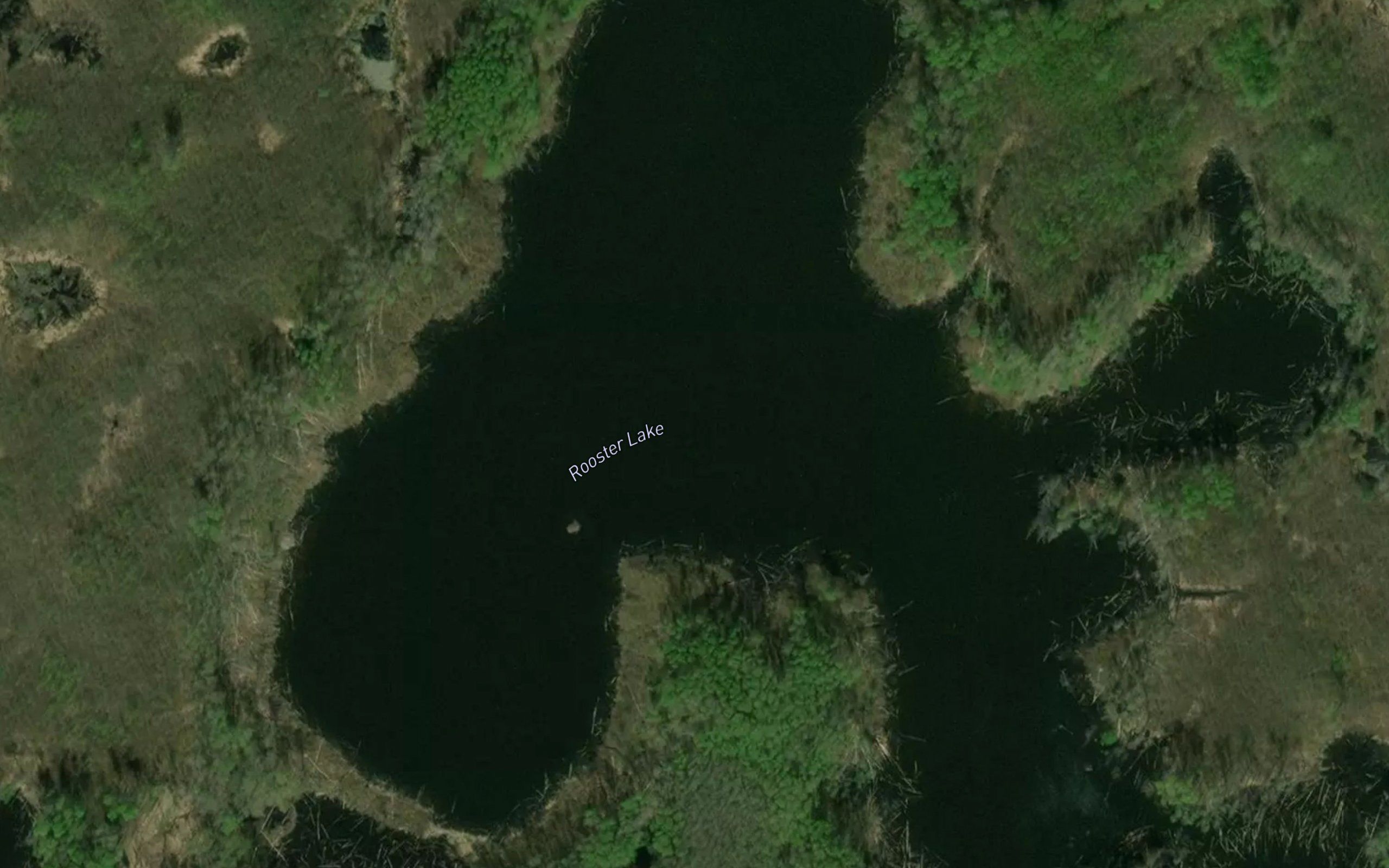 Rooster Lake