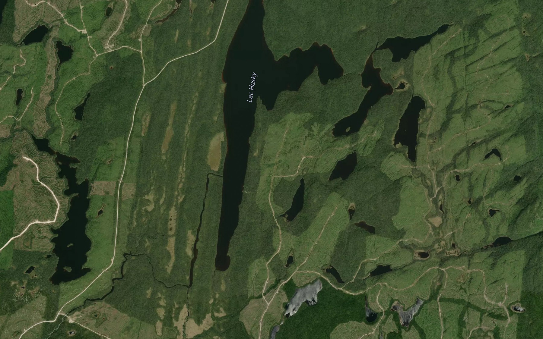 Satellite map of the Lac du Pygargue