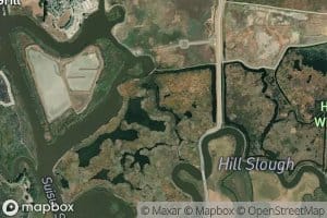 Duck Slough