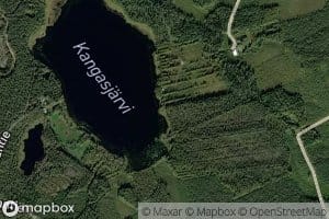 Rynganoja