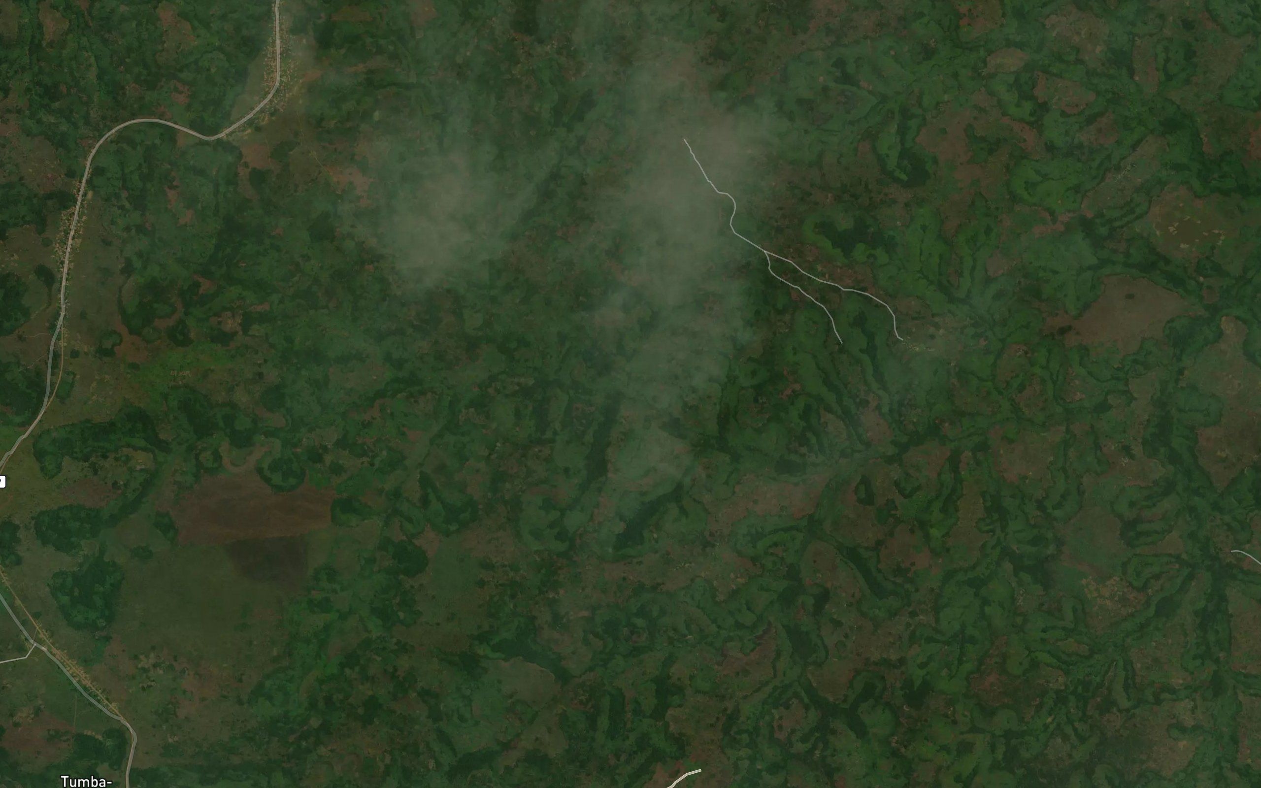 Kambamba