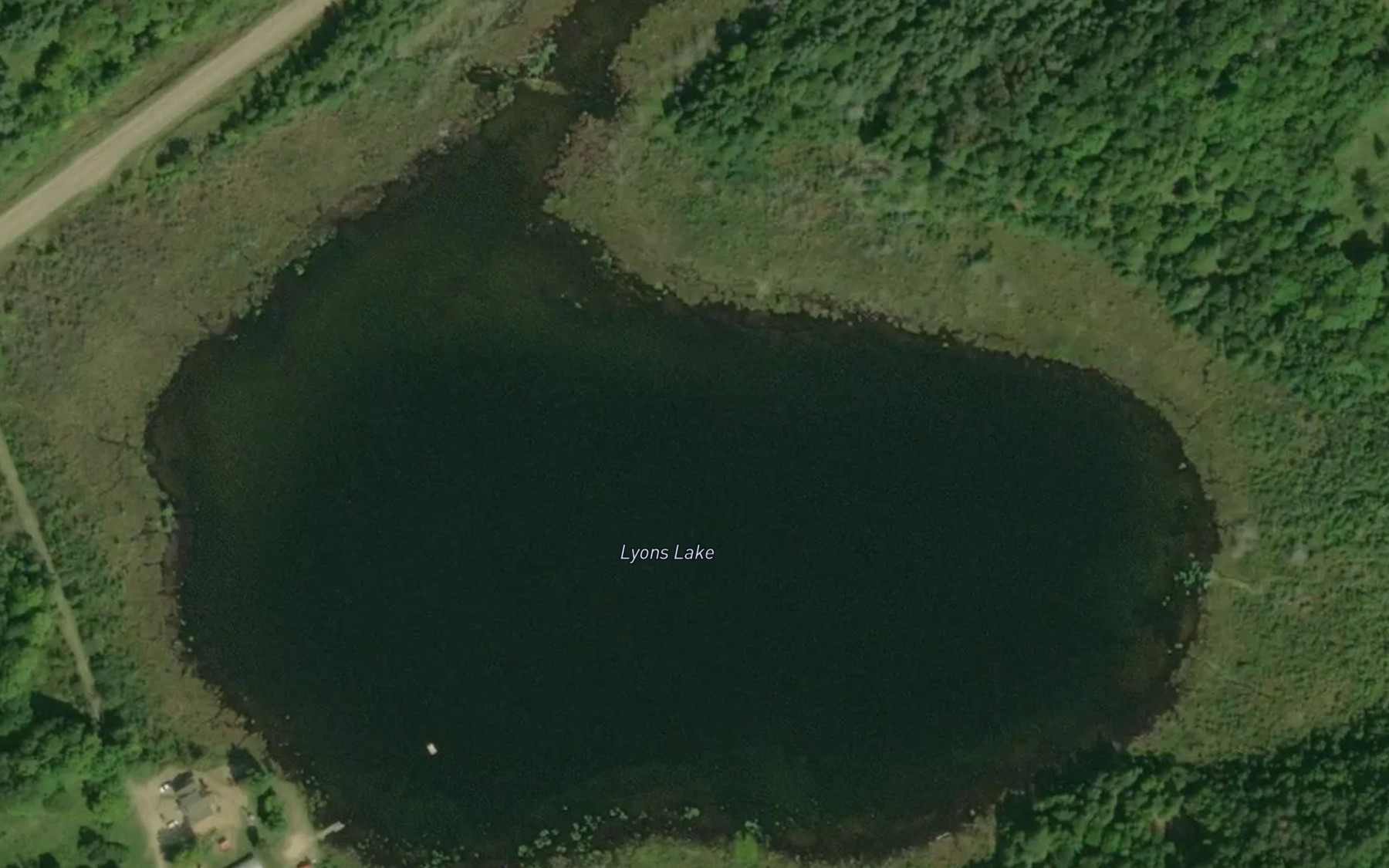 Satellite map of the Lyons Lake