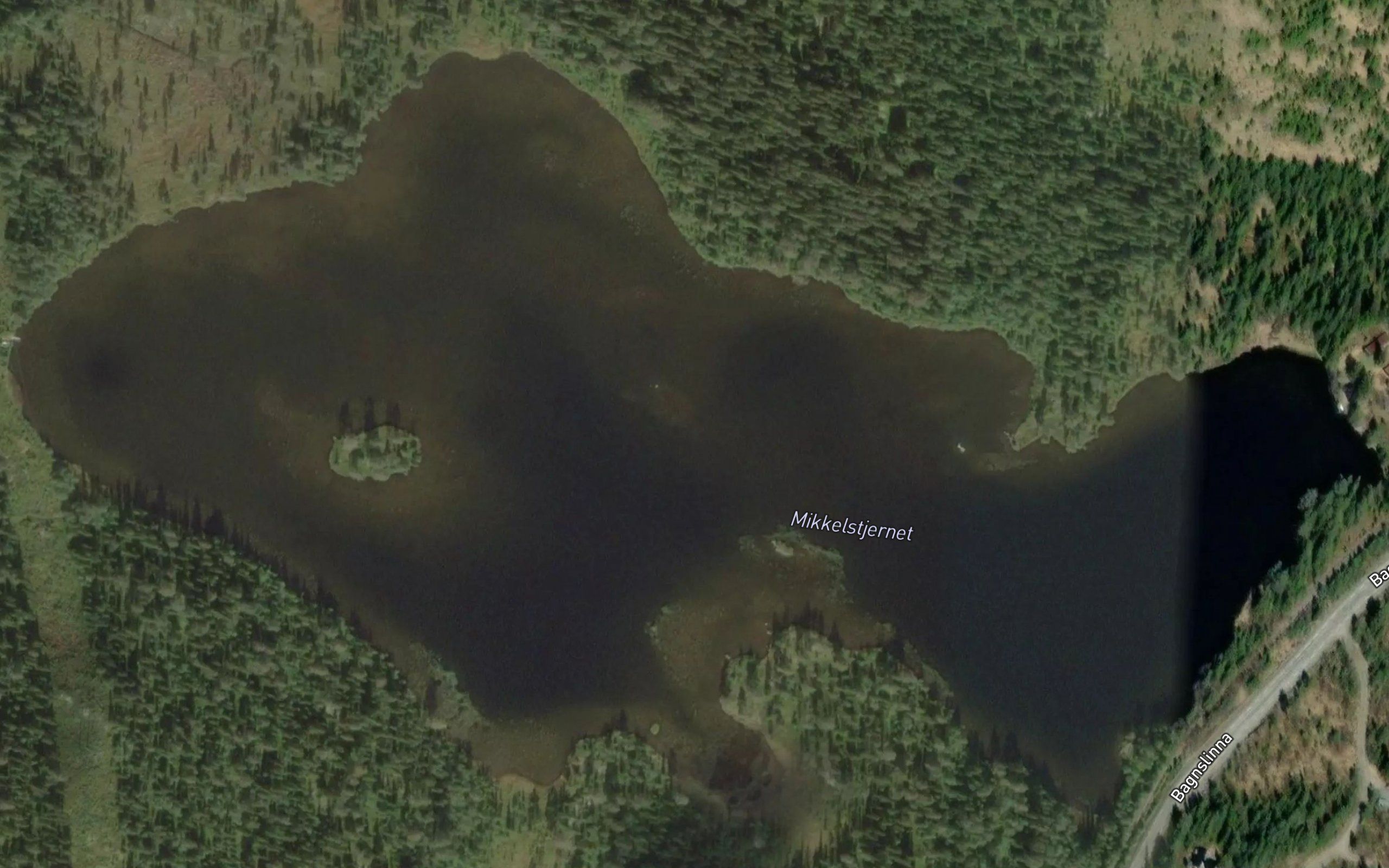 Mikkelstjednet