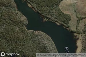 Four Springs Lake