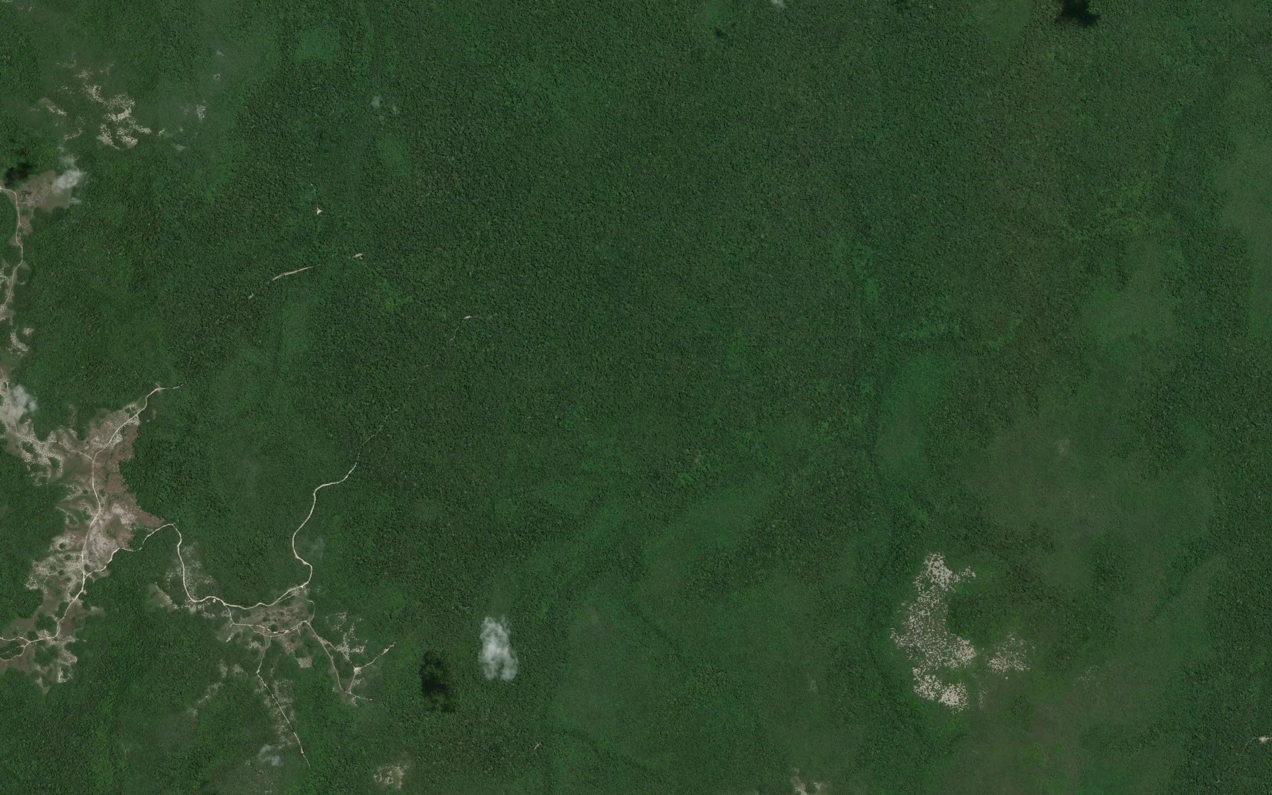 Waiamu Creek