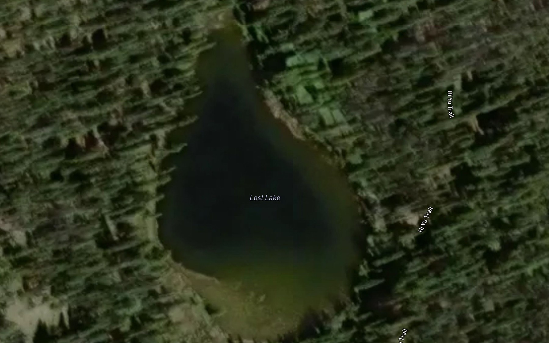 Satellite map of the Lost Lake
