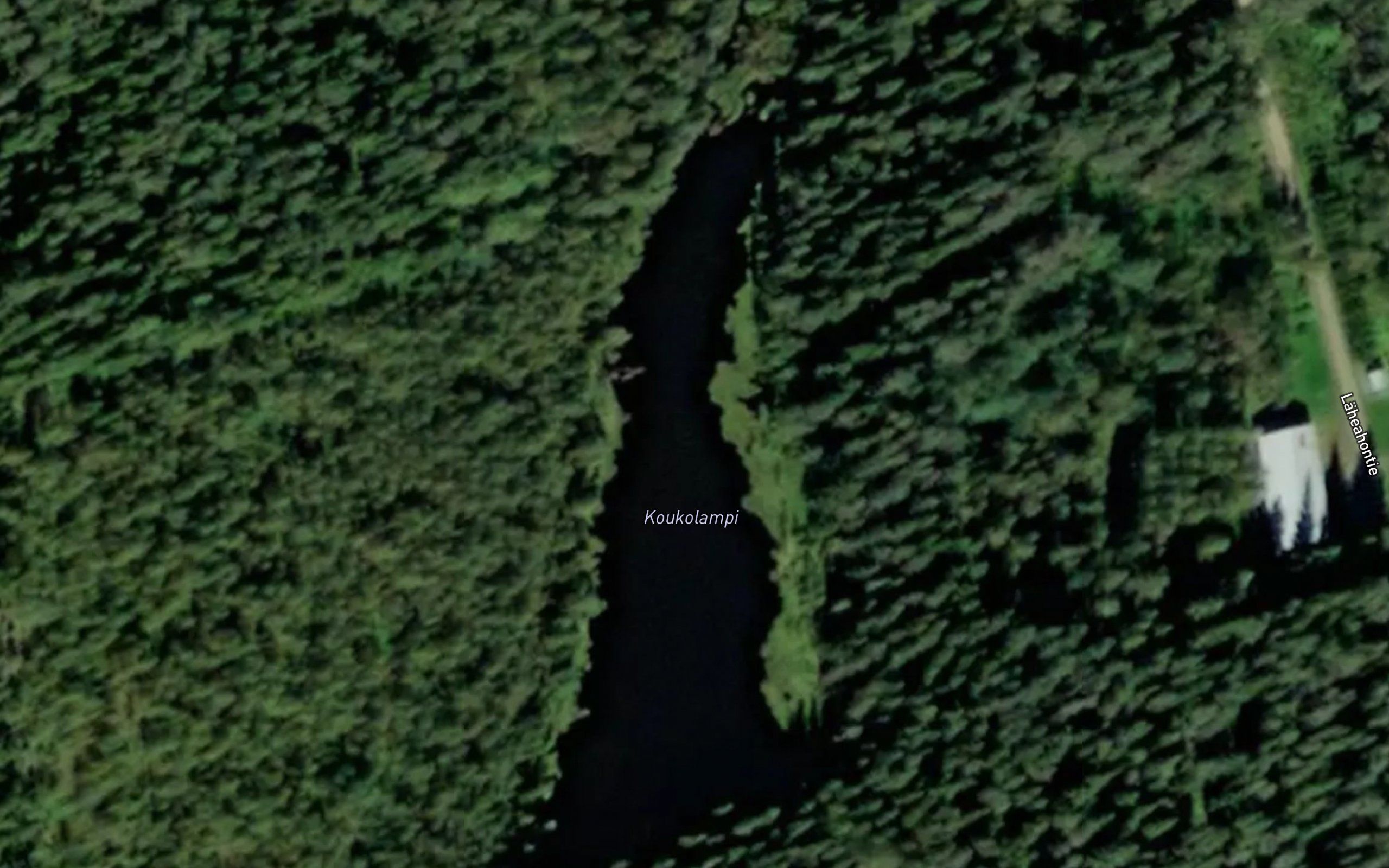 Koukolampi
