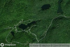 Lacs Forest