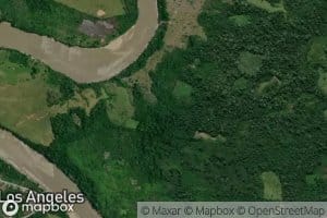 Rapido de Yuya Pichis