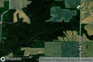 North Branch Larry Creek