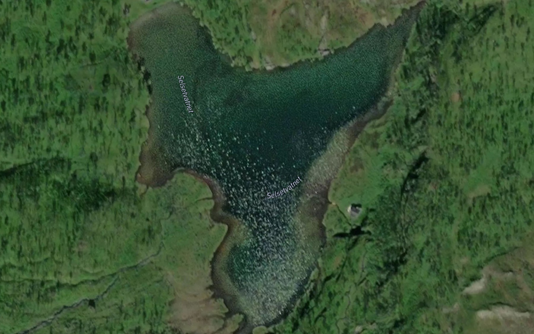 Satellite map of the Selsetvatnet