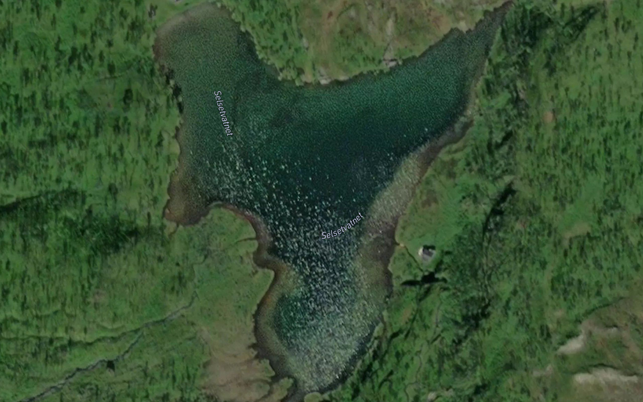 Selsetvatnet