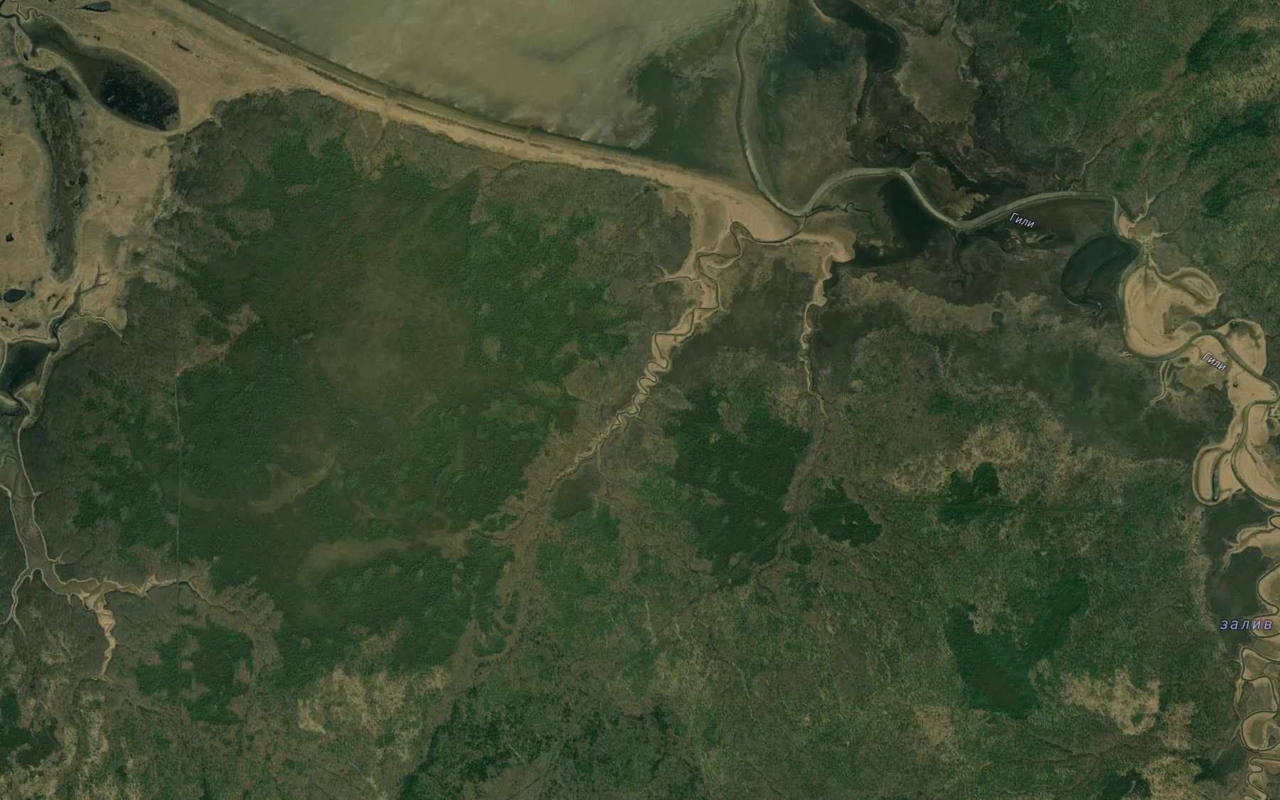 Satellite map of the Zaliv Khitryy