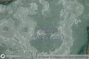 Salmon Berry Lake