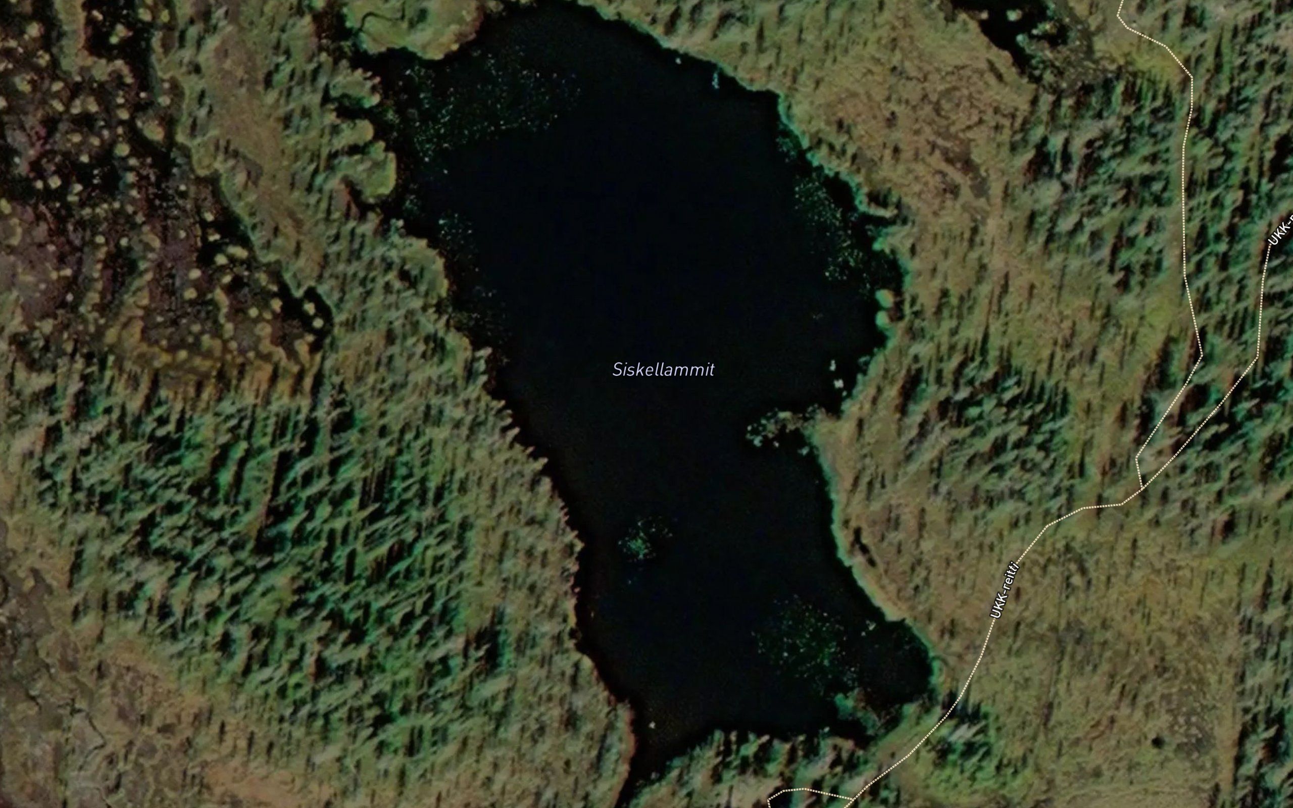 Siskellammit
