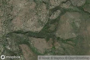 Bog Spring