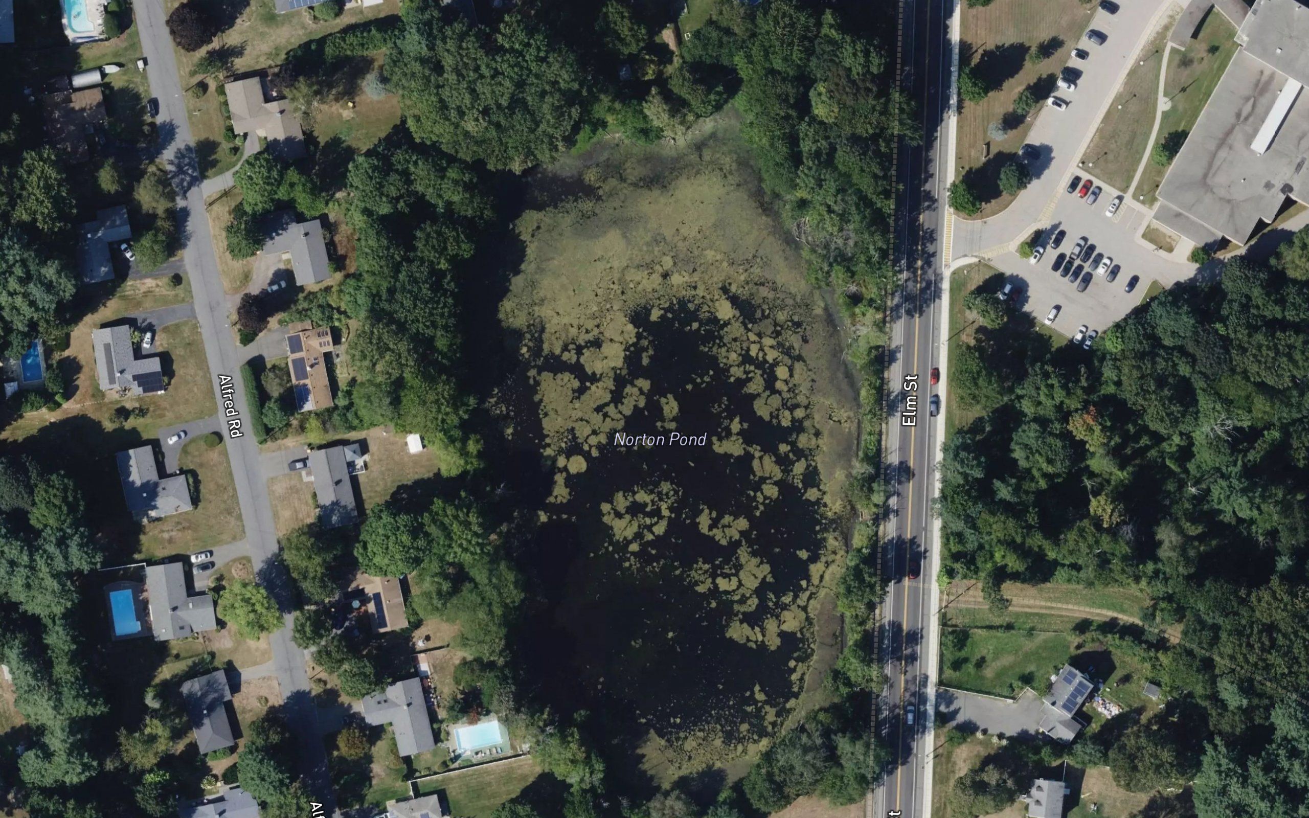 Norton Pond