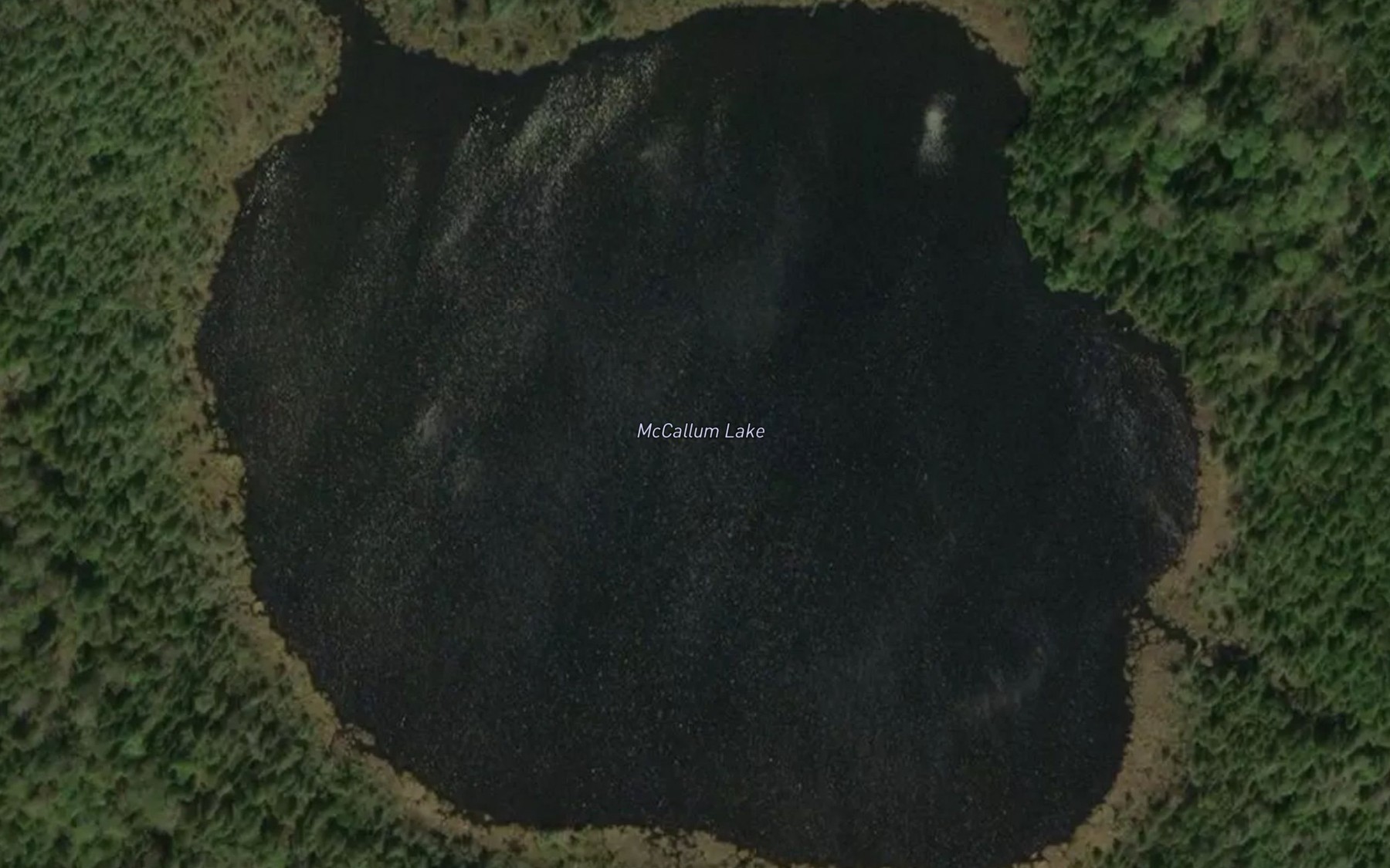Satellite map of the McCallum Lake