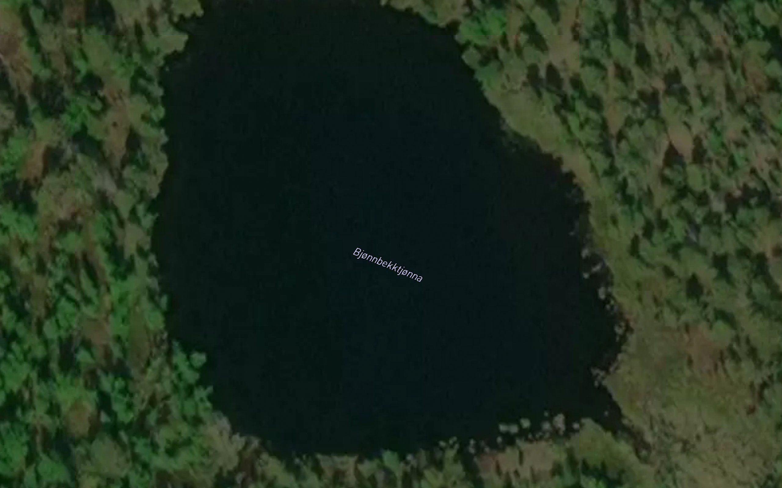 Bjonnbekktjonna