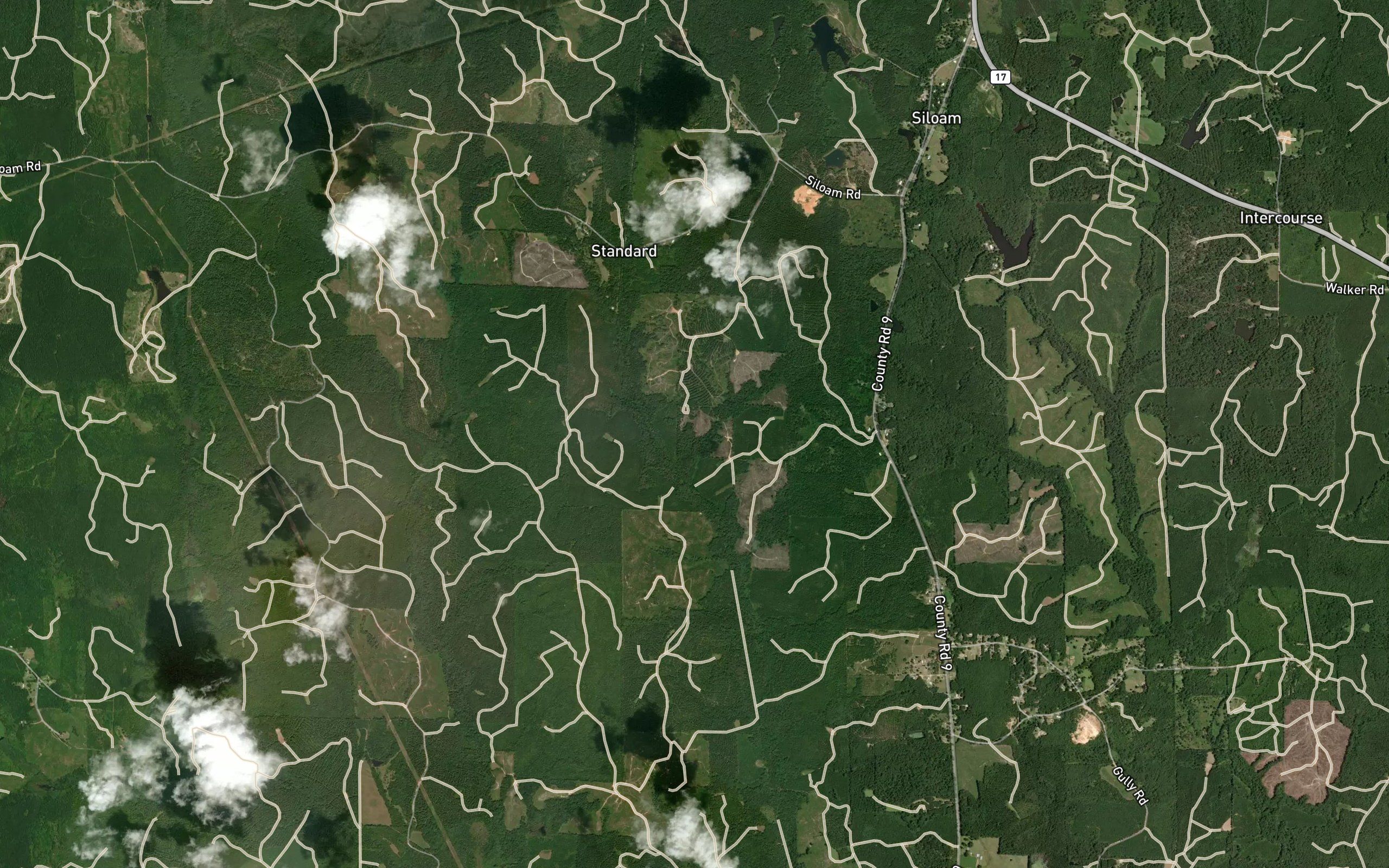Grant Lake