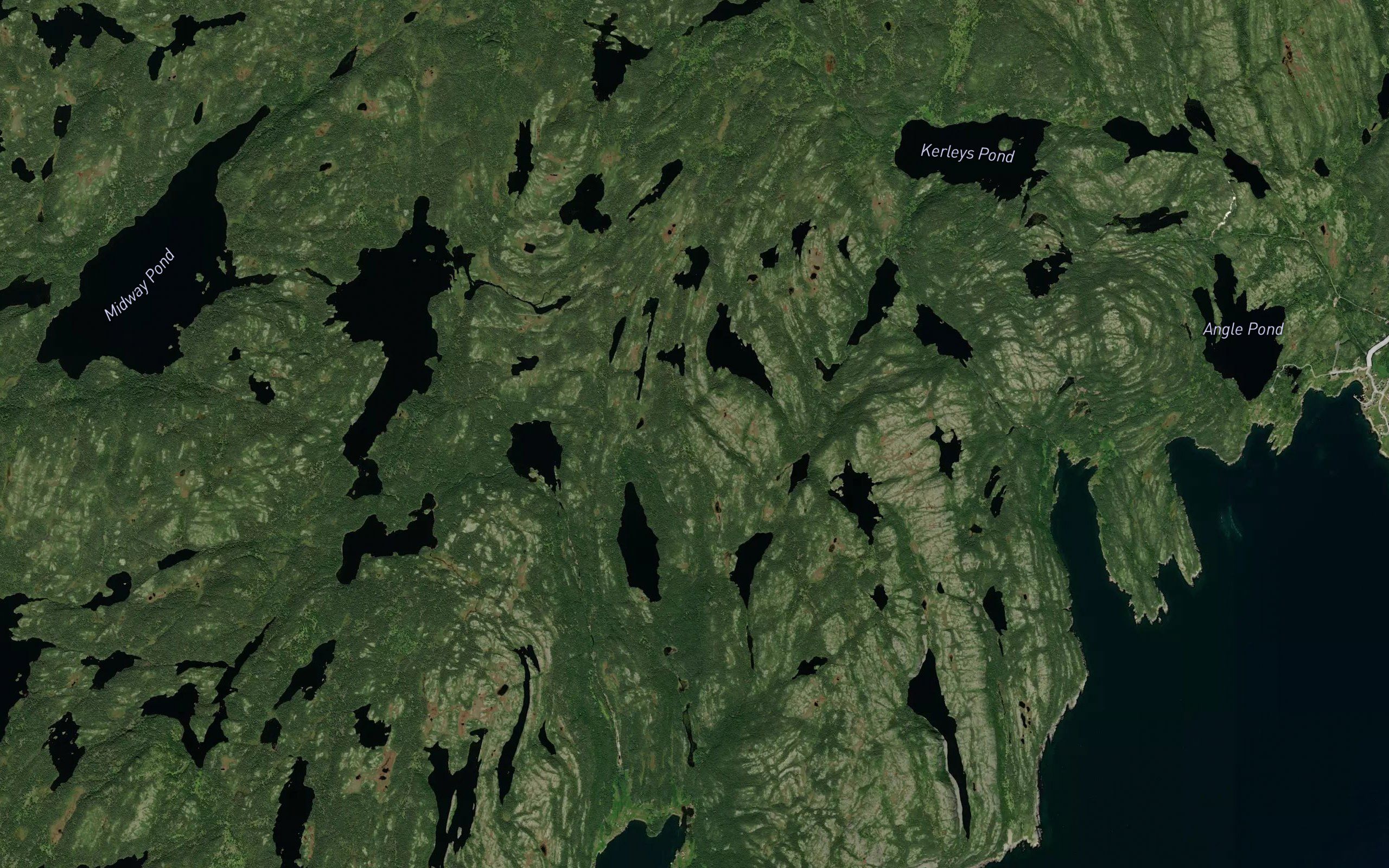 Beaver Pond