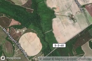 Miller Swamp