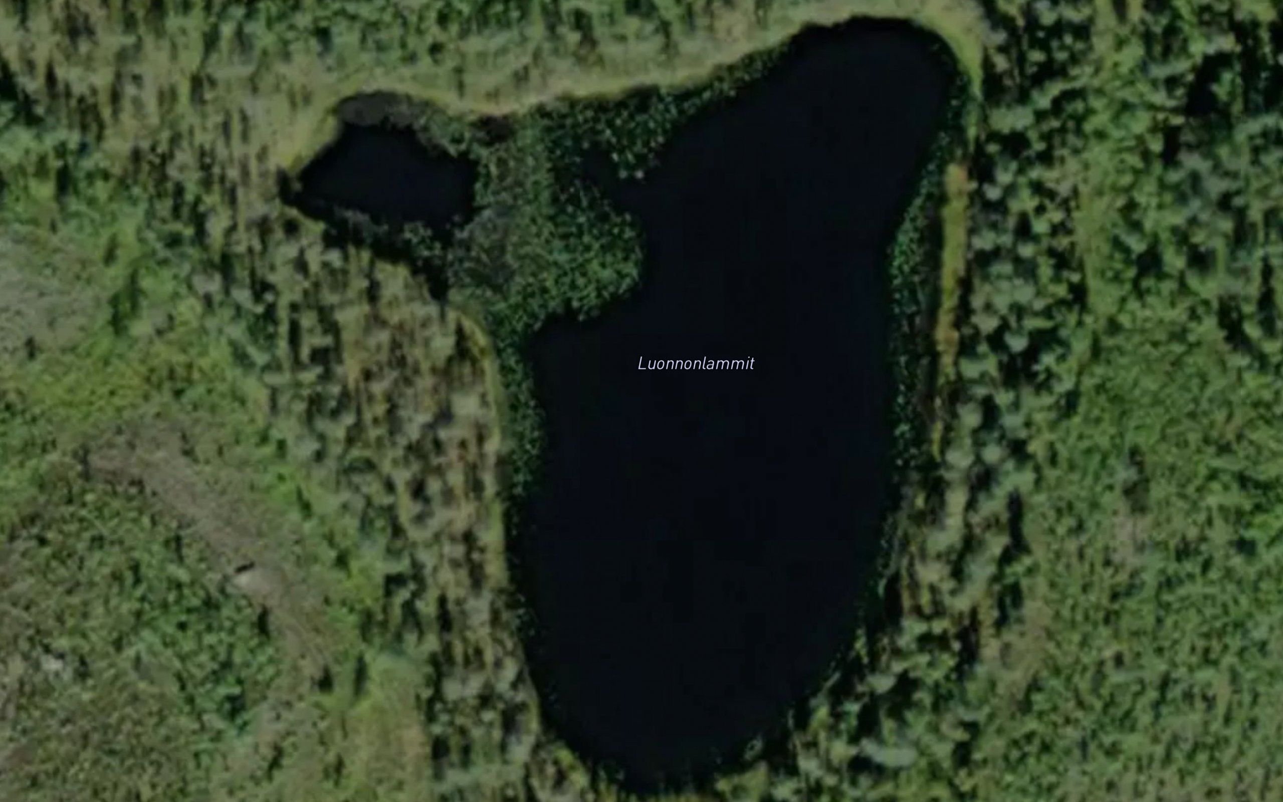 Luonnonlammit