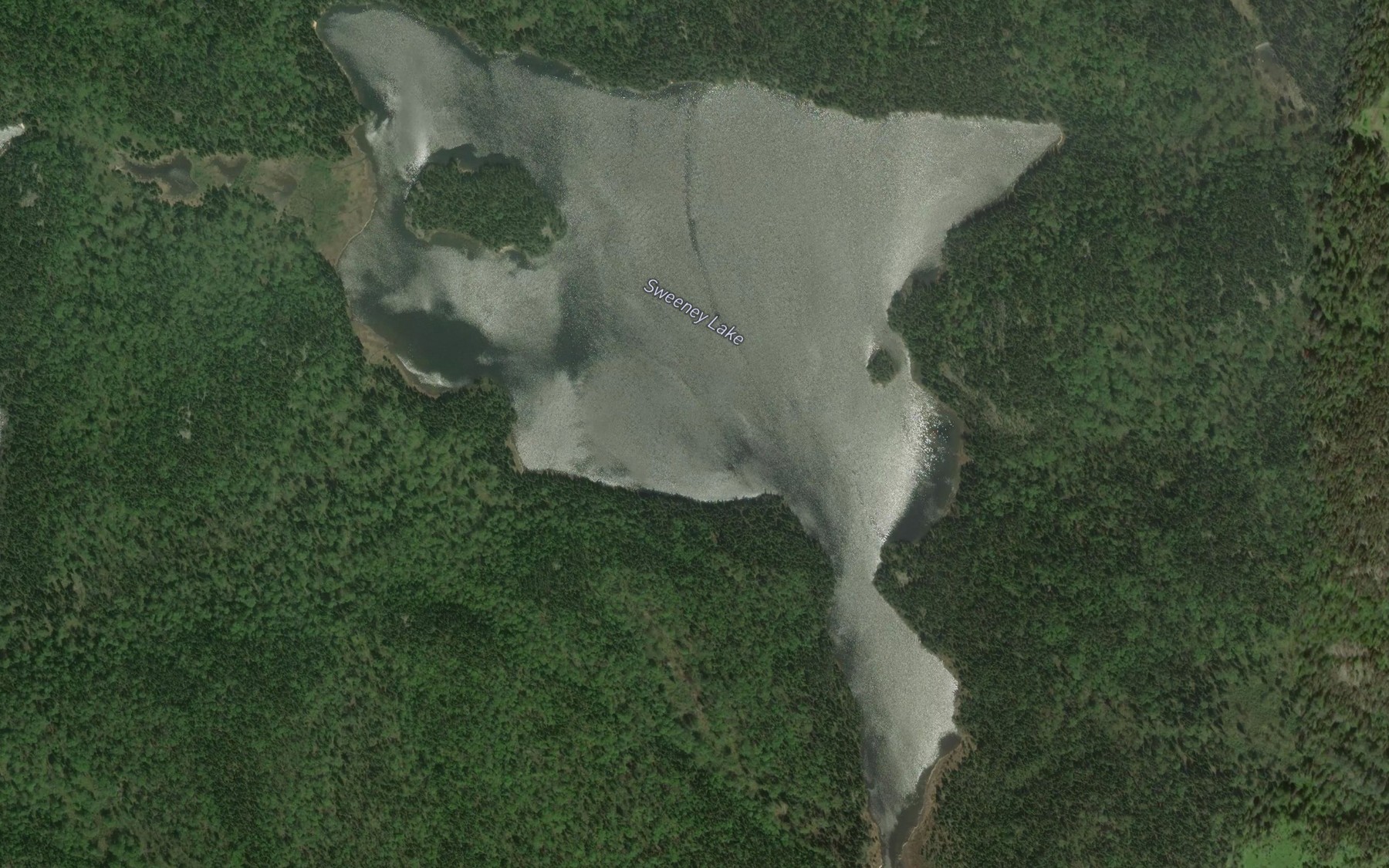Satellite map of the Sweeney Lake