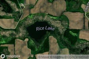 Rice Lake