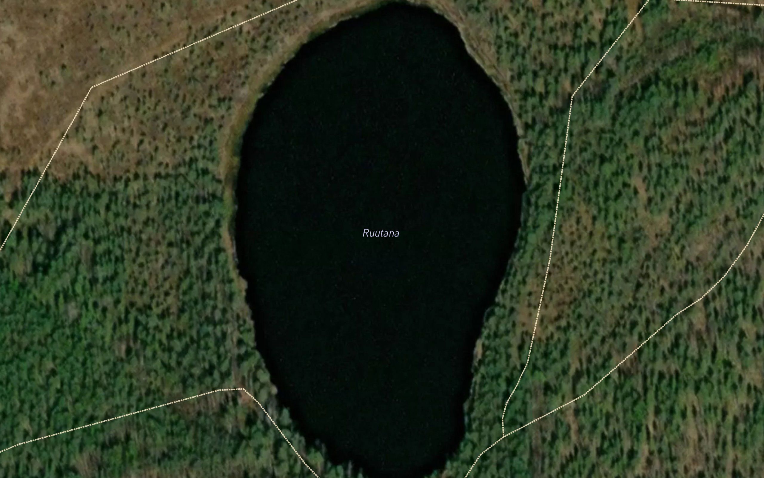 Ruutana