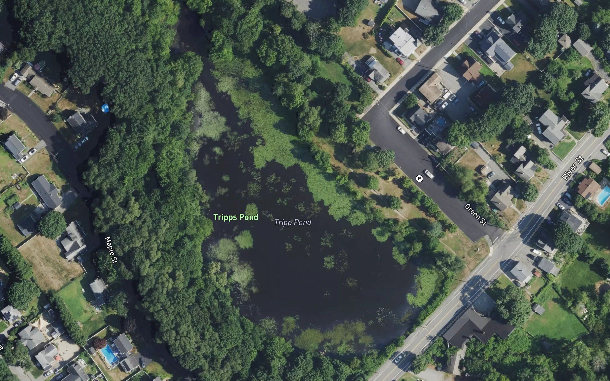 Tripp Pond