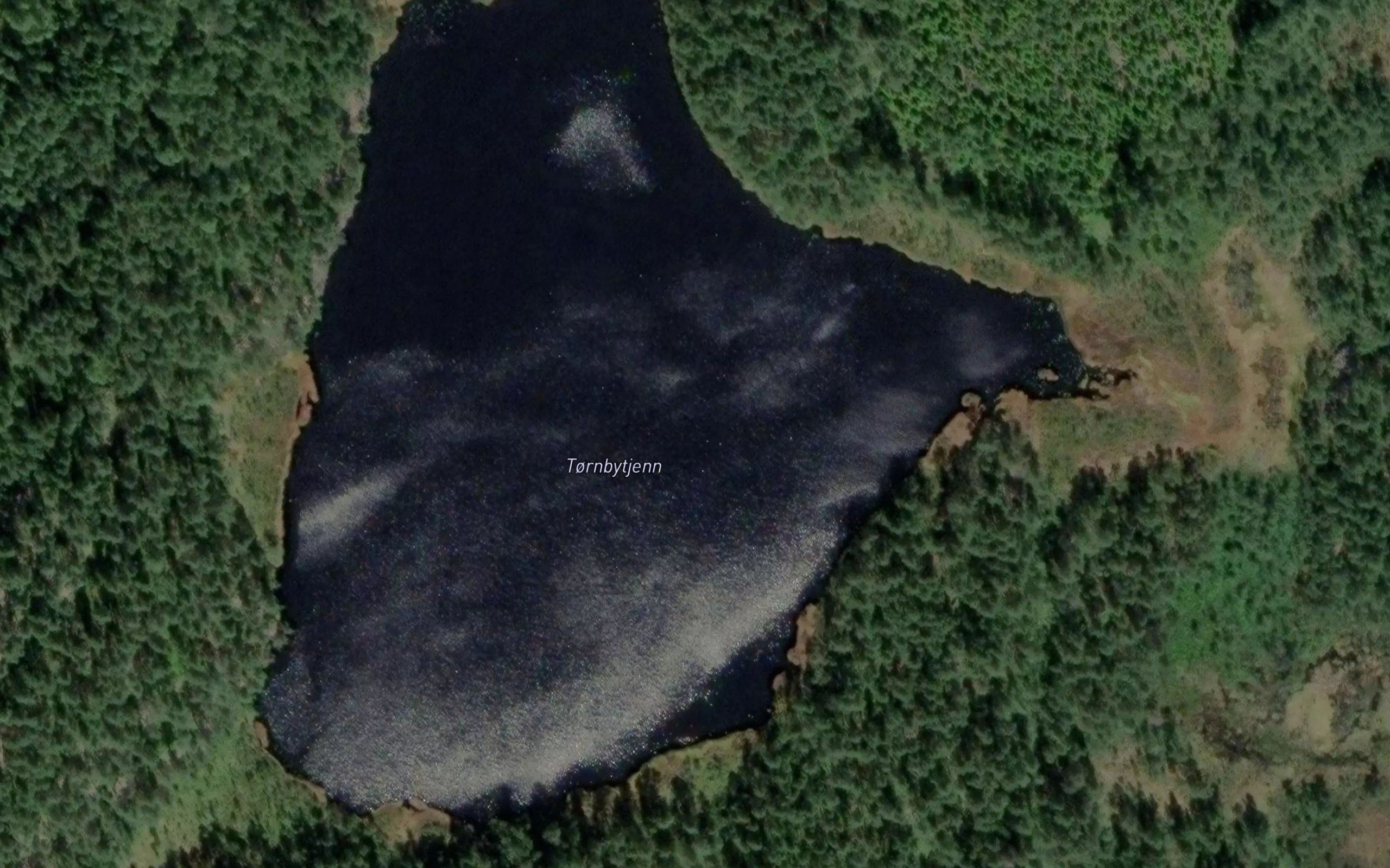 Tornbytjern