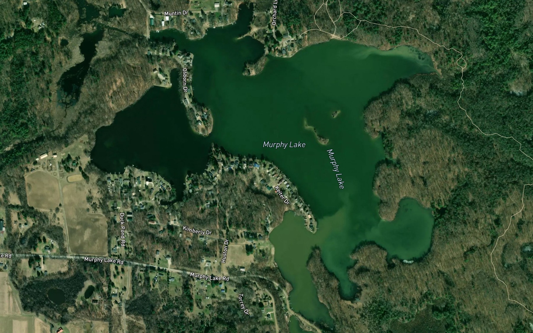 Satellite map of the Murphy Lake
