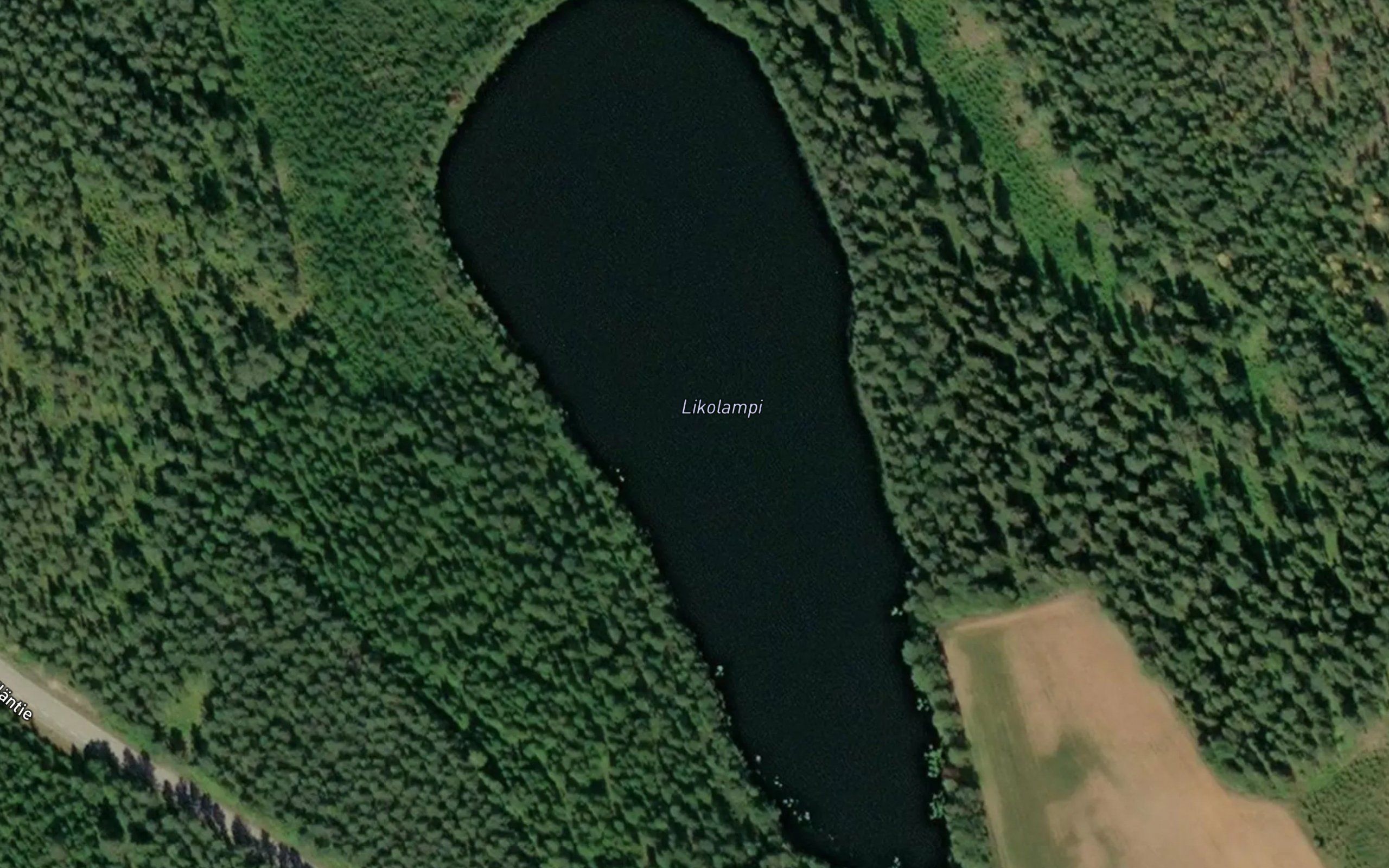 Likolampi