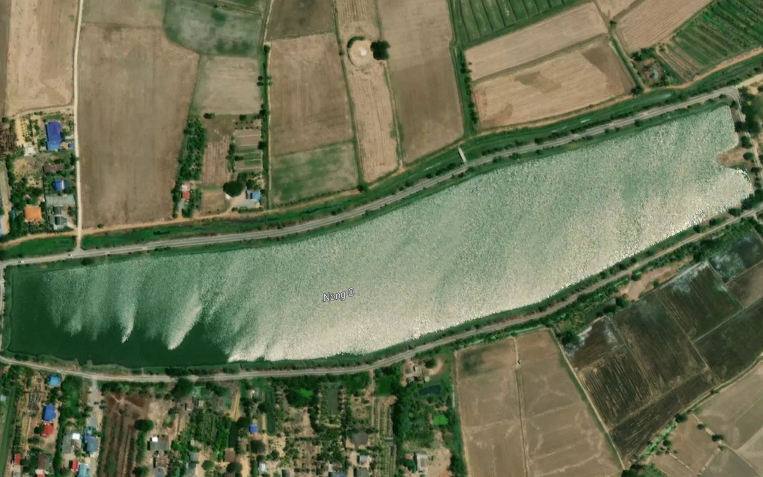 Bueng Sala O