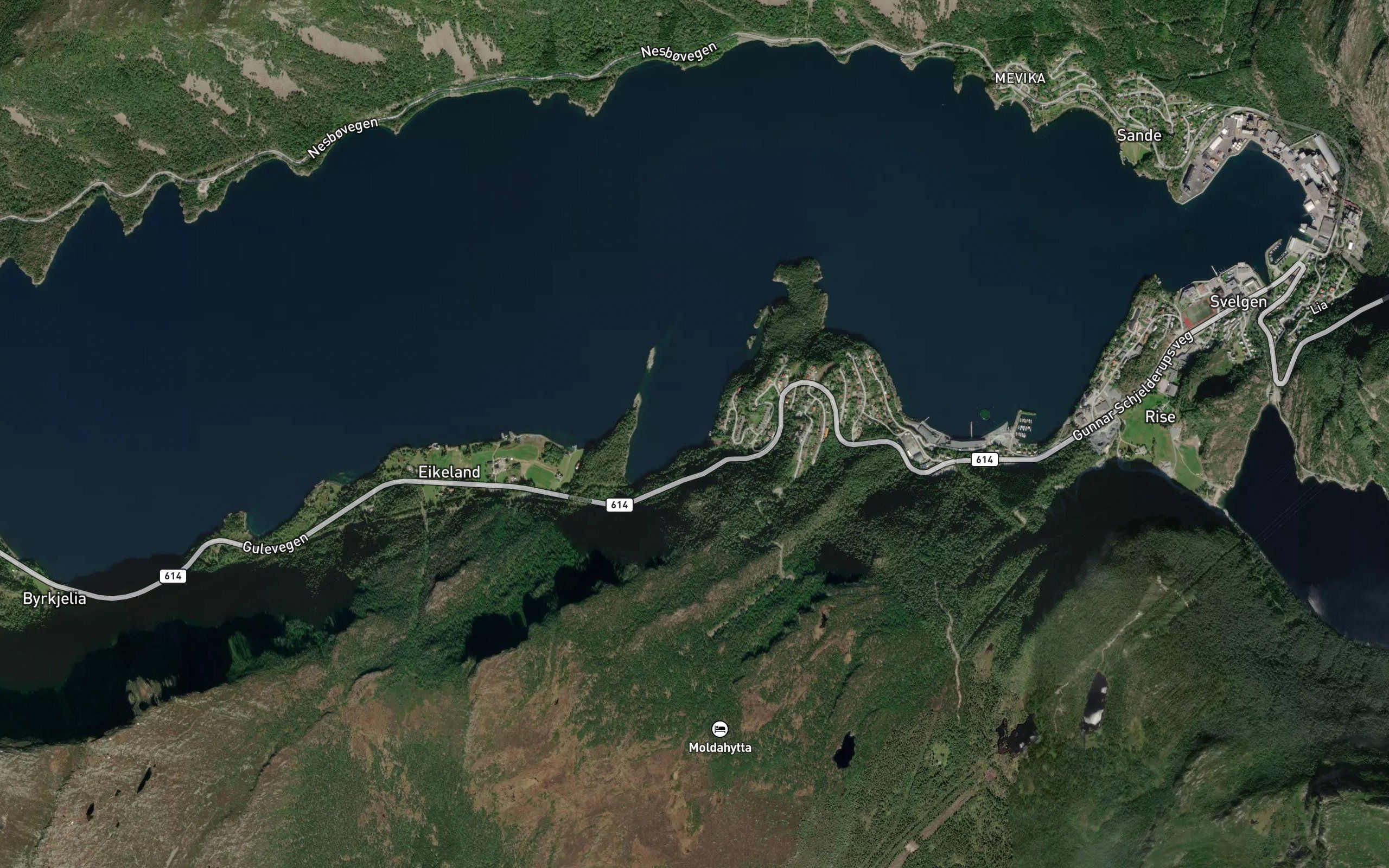 Batvika