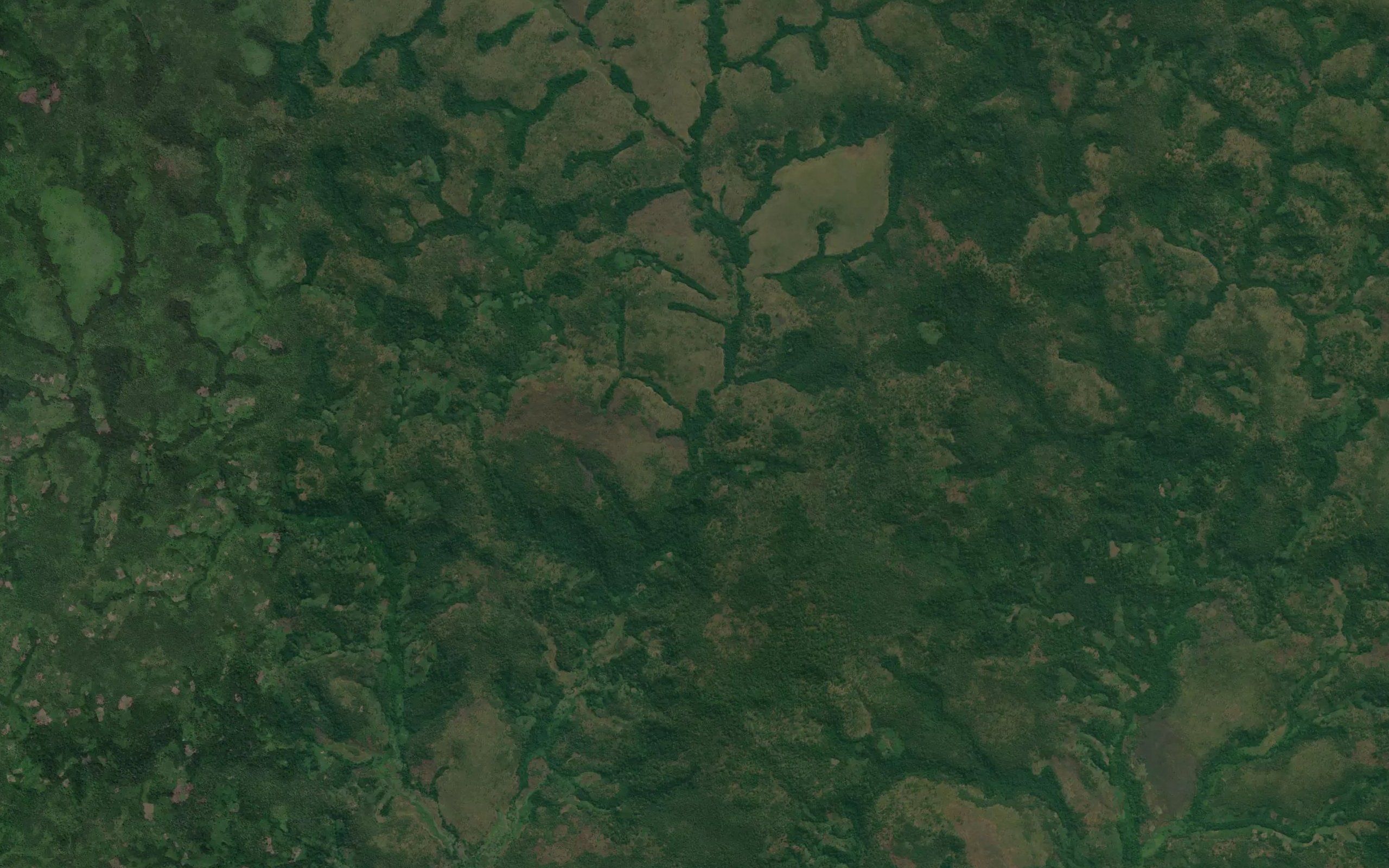 Quimbuca