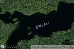 Bill Lake