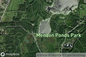 Deep Pond