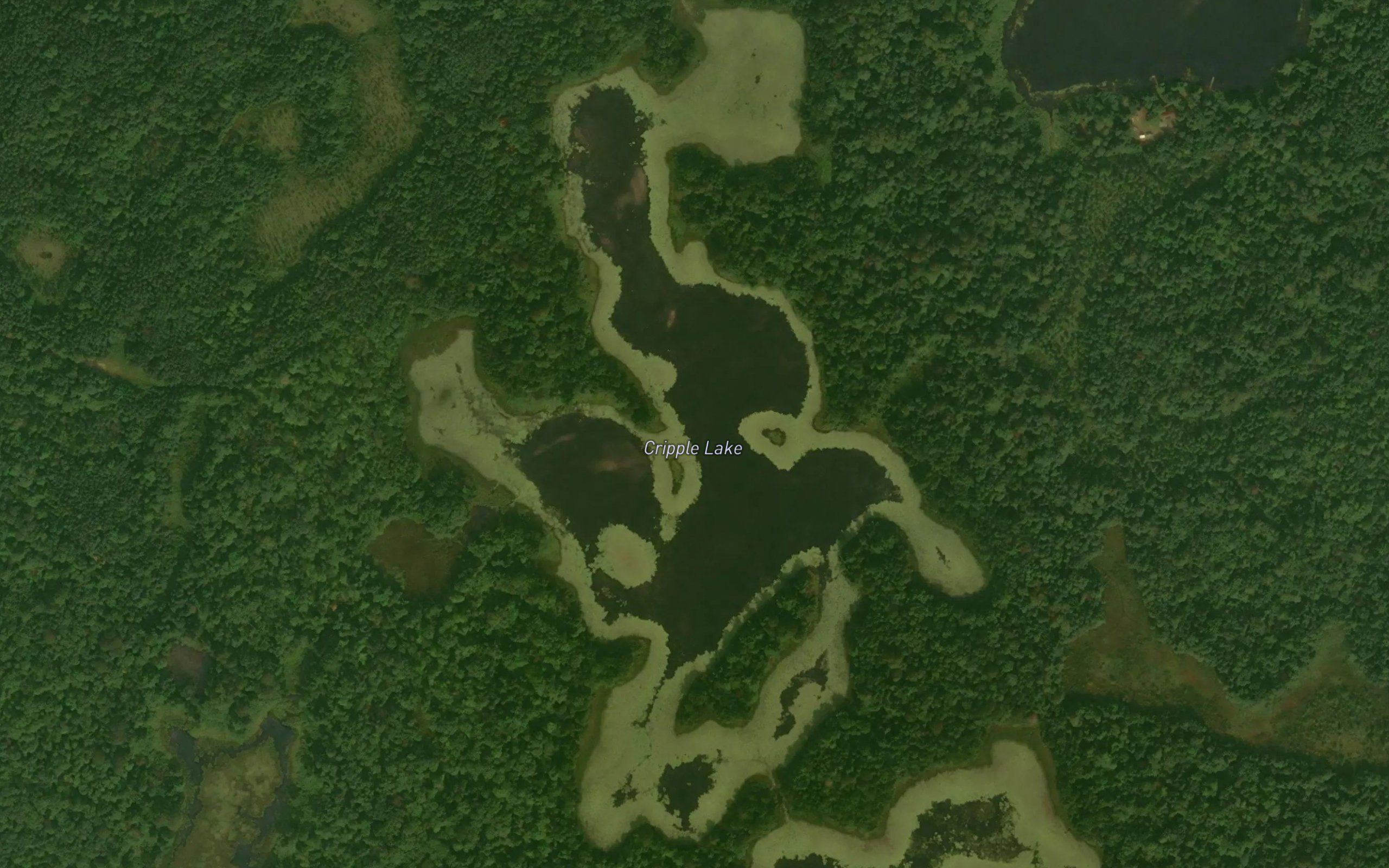 Cripple Lake