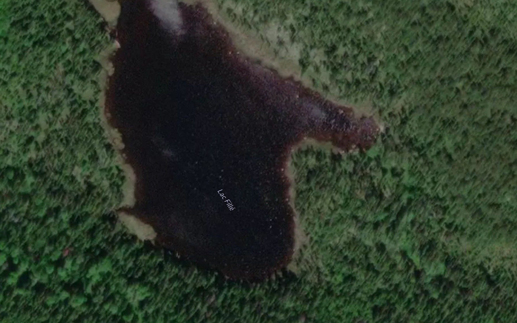 Satellite map of the Lac Fille