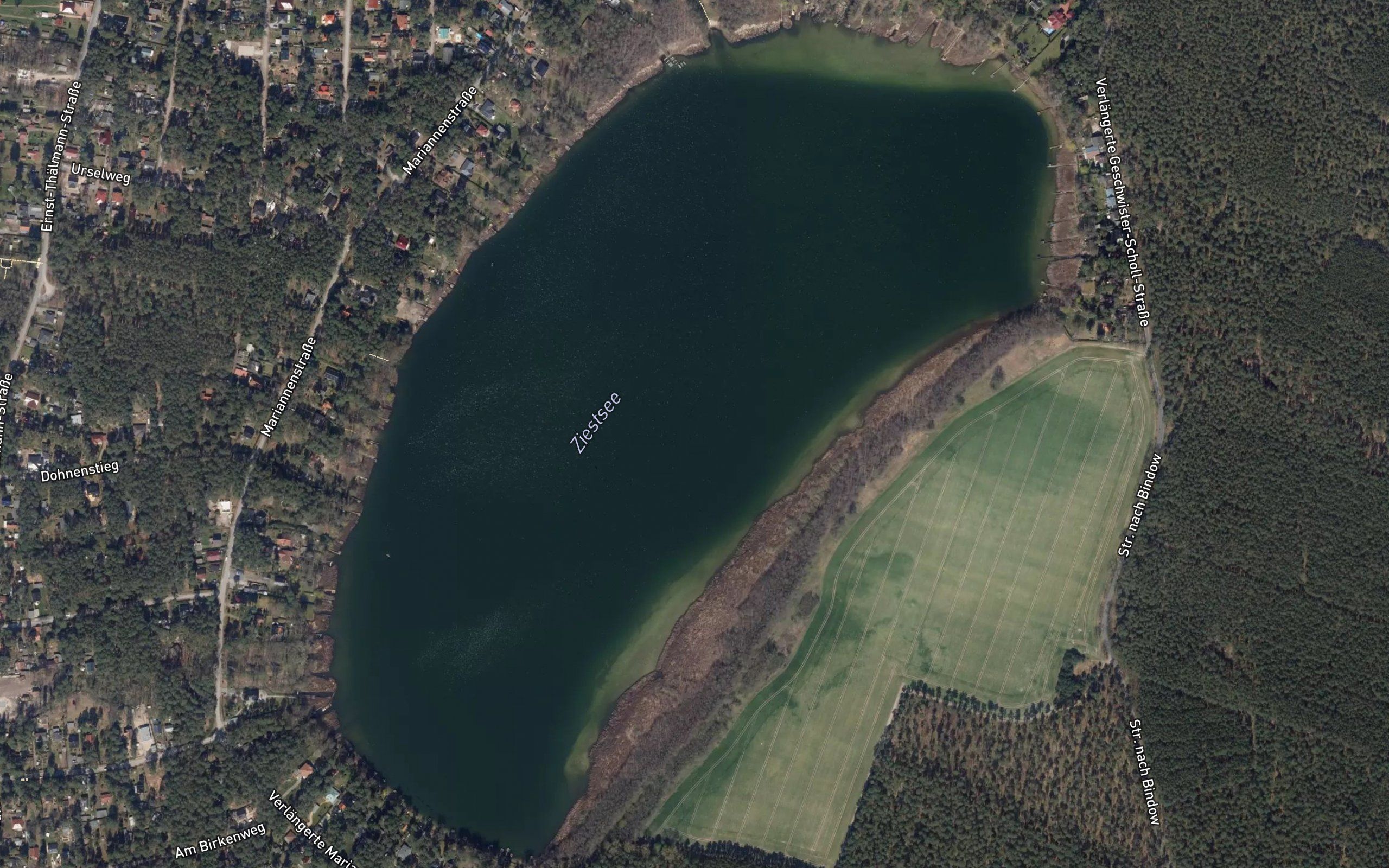 Ziestsee