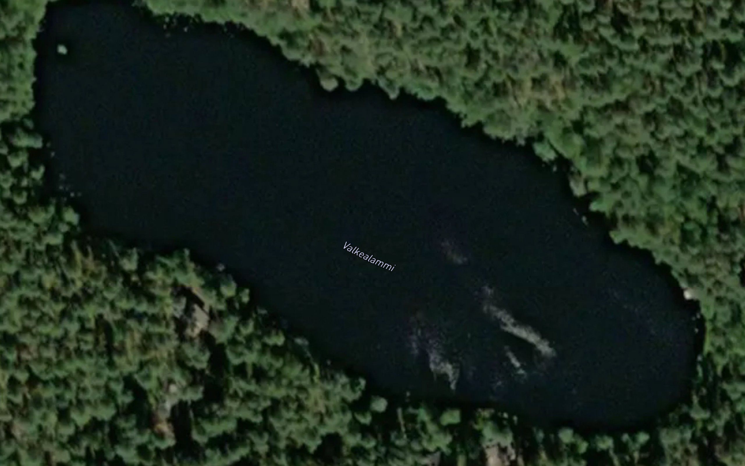 Valkealammi