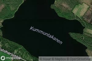 Kummuntakanen