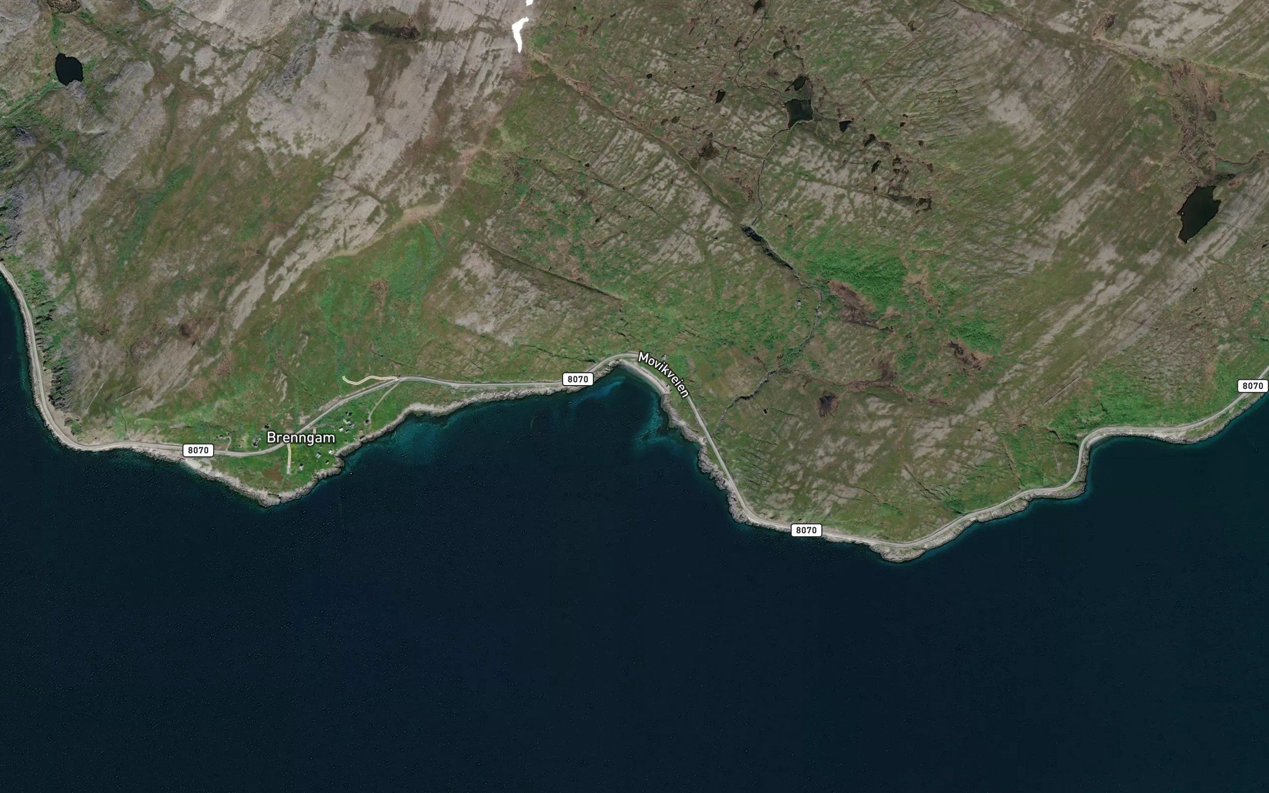 Brenngamvika