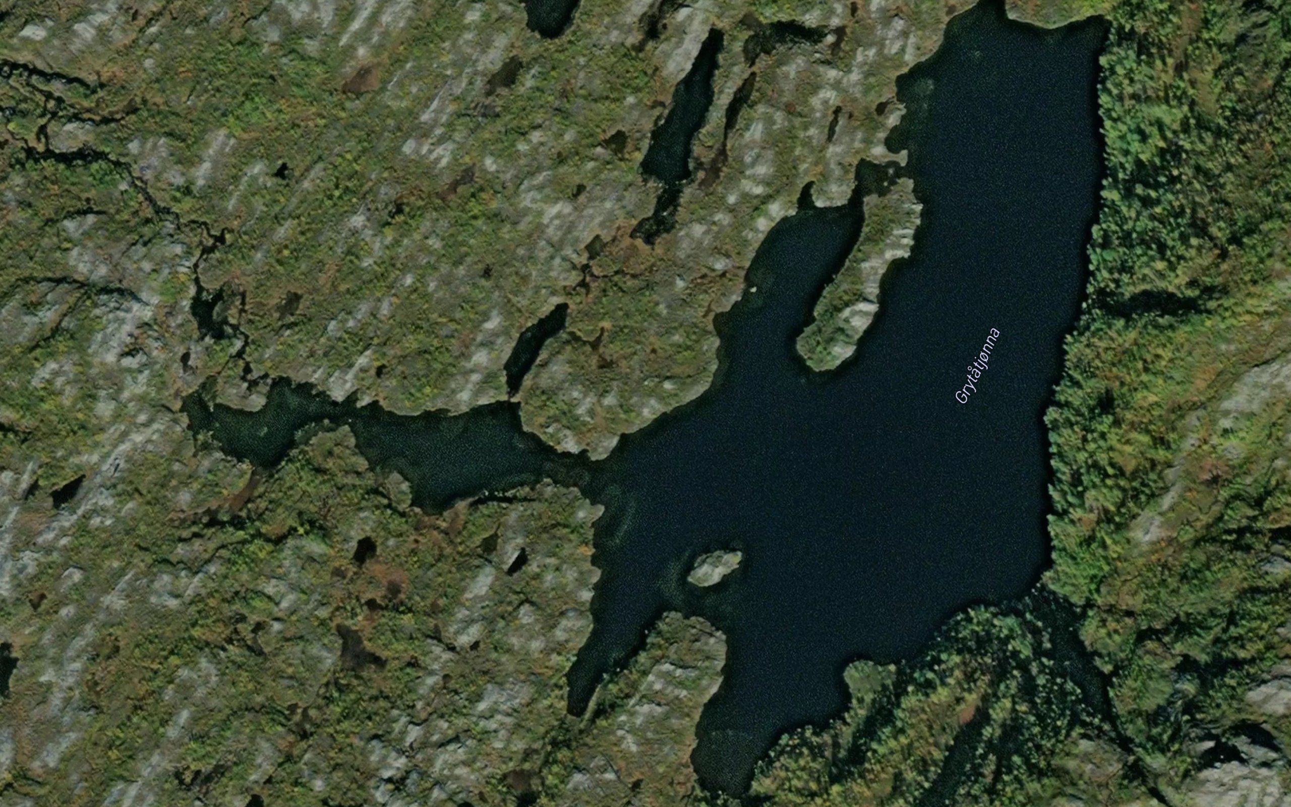 Grytatjorna