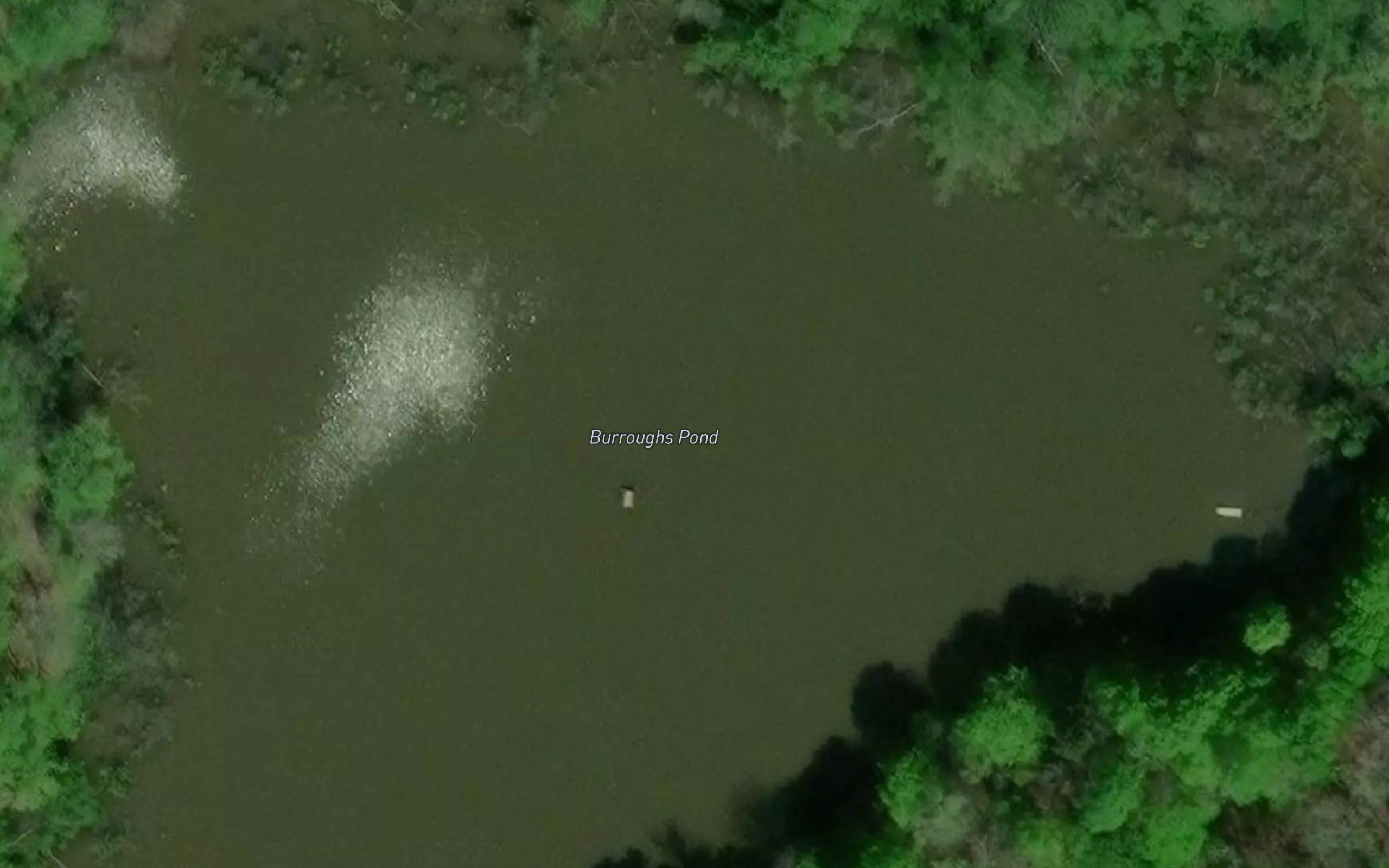 Burroughs Pond