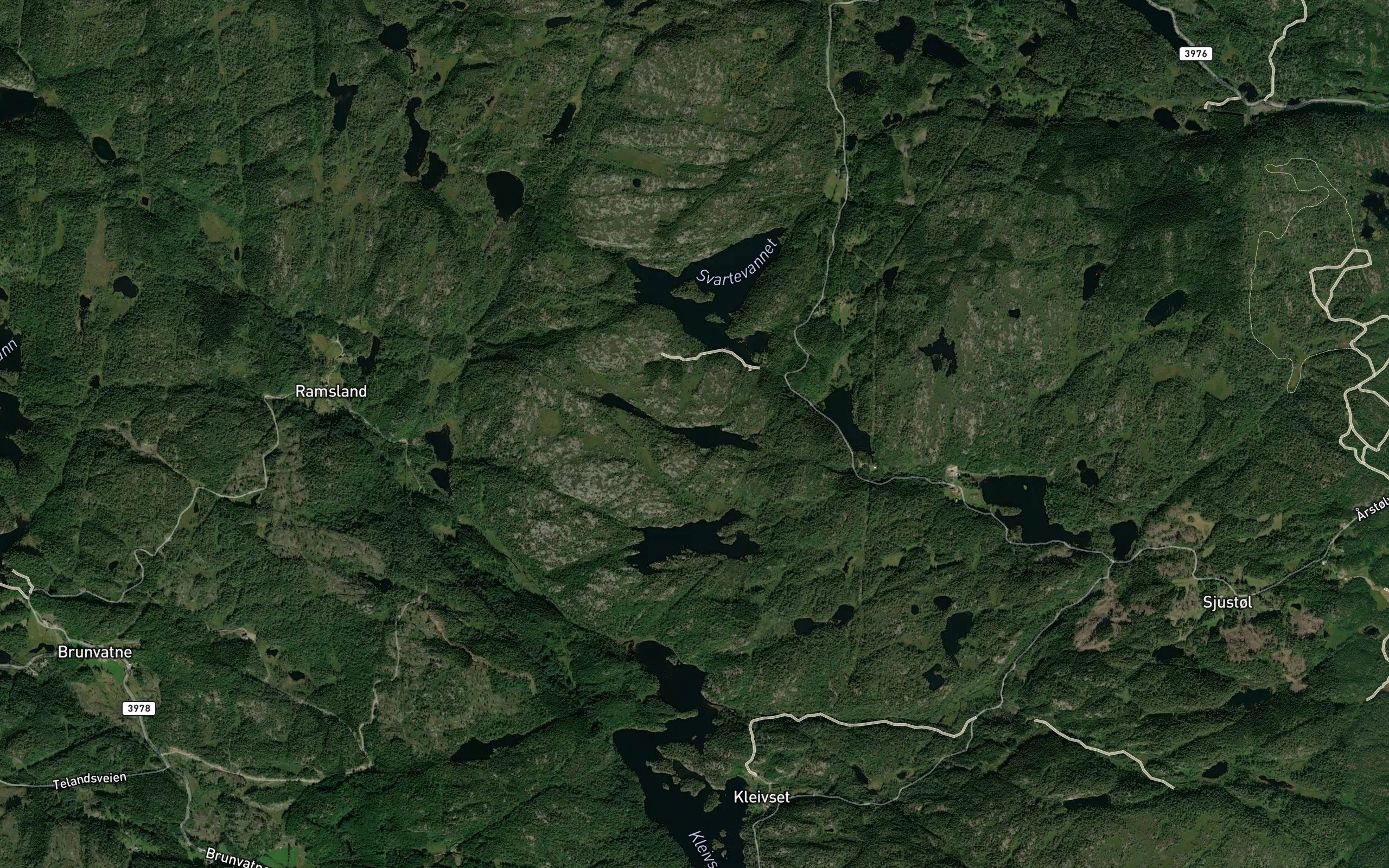 Fjelltjonnane