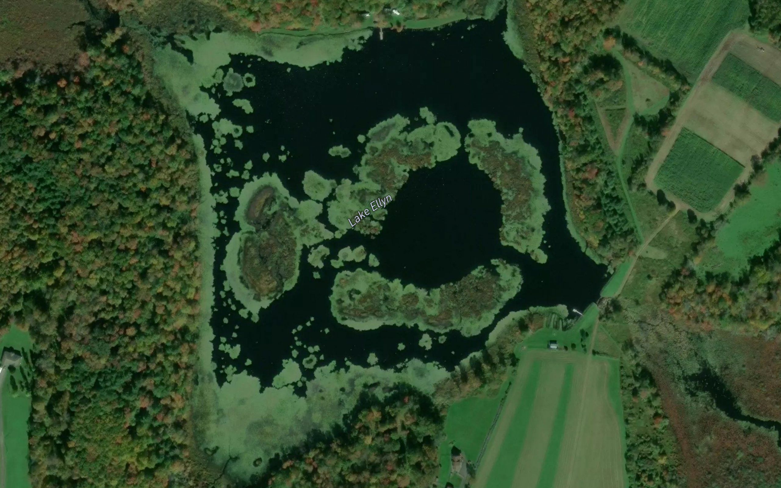 Butler Pond